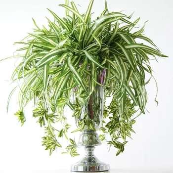 65 cm 5 Vilica Veliki Umjetni Cvijet je Tropska Chlorophytum Biljke Lažni Airplant Trava Buket Biljaka Zid Za uređenje Doma