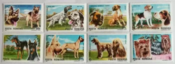 8 KOM., Poštanske marke Rumunjskoj, 1990, Samp psa, Ispis životinja, Pravi i originalni, Zbirka maraka
