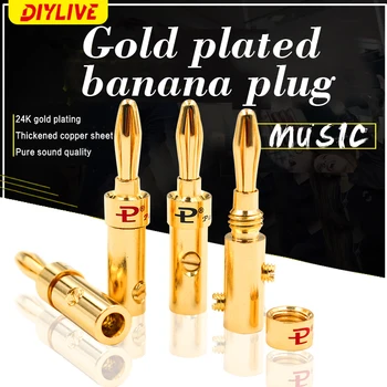 DIYLIVE Banana Plug-in Fever Čist Bakreni Pozlaćeni Kabel Zvučnika Budweiser HIFI Audio opreme Premium Priključak Zvučnika
