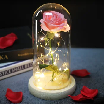 Ljepotica i zvijer rosa Rosa u led kupoli Zauvijek Ruža Crvena Ruža Valentinovo majčin Dan Poseban Romantičan Poklon
