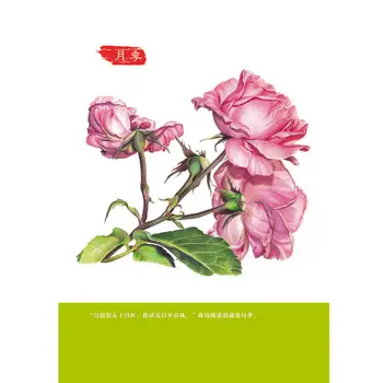 Nova Topla Boja knjiga za crtanje cvjetni olovkom / Super Tanka Zbirka obojena slika 34 popularnim bojama