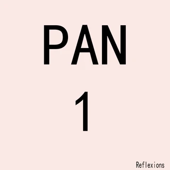 PAN Re 1