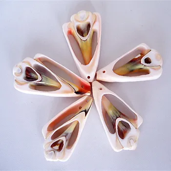 Polovica Prave Spiralne Školjke s jednim Otvorom Slobodan Perle za Nakit /foto Okvir Zanat Decoration10pcs 40-50 mm morska umivaonik
